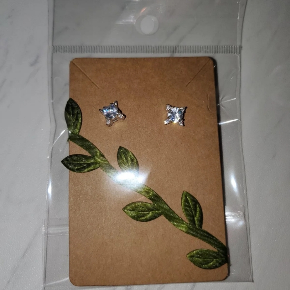 Silver Earrings